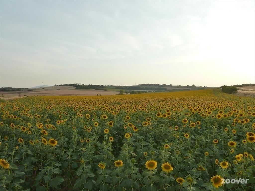 Agriturismo Il Canto Della Gallina Hotel Villastrada  Buitenkant foto